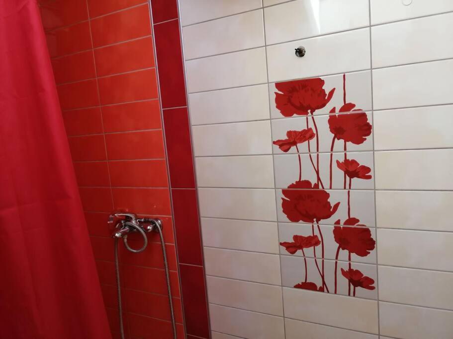 Apartman Natasa 3 弗尔沙茨 外观 照片