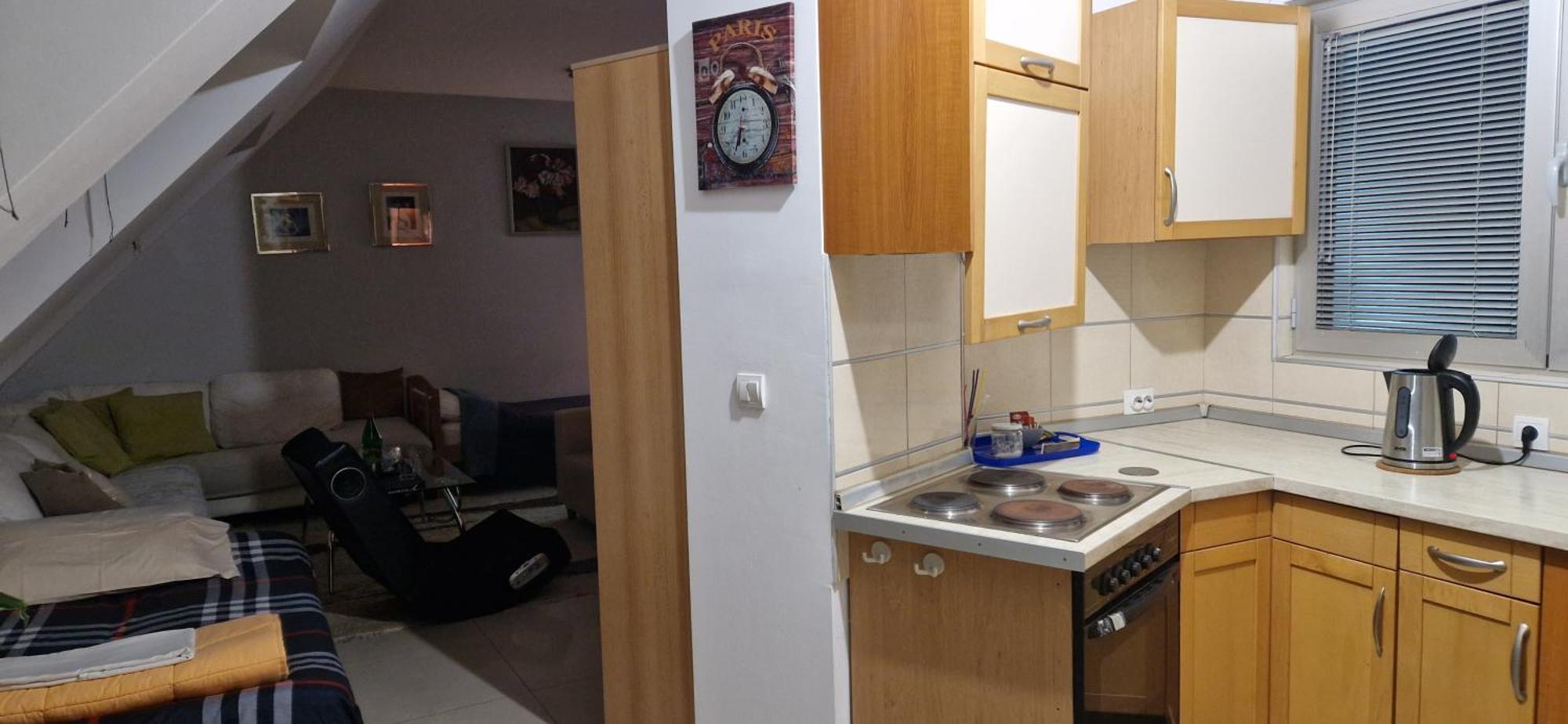 Apartman Natasa 3 弗尔沙茨 外观 照片